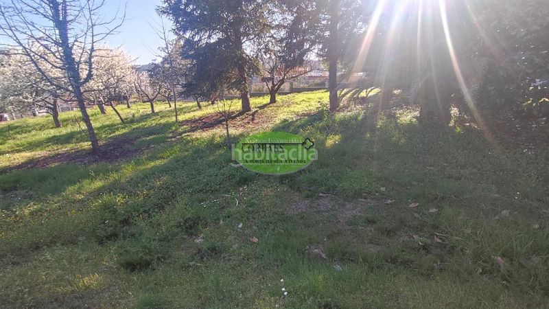 Foto 6458dd9b-546d-49ab-aa71-c49d14432042. Xalet amb calefacció piscina a Toén