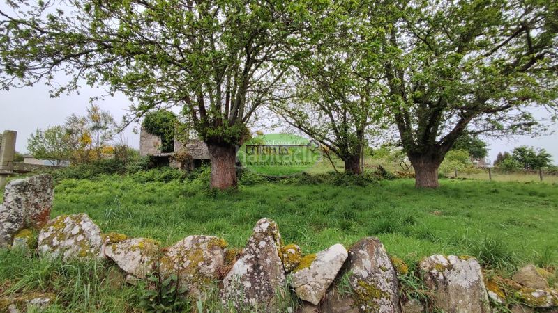 Foto d3802584-a16c-4844-9b1b-0d6bff86d351. Casa en Allariz
