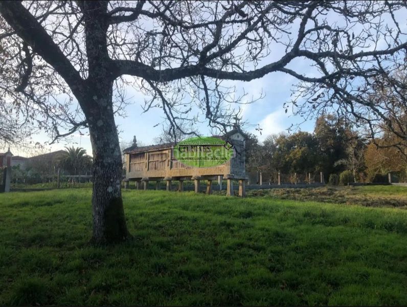 Foto 21c6dc81-3b78-4126-a7e3-923316f4bf15. Casa a Pereiro de Aguiar (O)