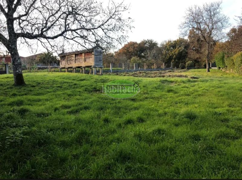 Foto a6132ad7-28ff-49f4-8fba-fec7ecbbfc14. Casa a Pereiro de Aguiar (O)