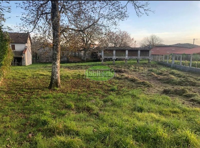 Foto e604a9ba-eecd-46b3-9942-1da4d6eb14ad. Casa a Pereiro de Aguiar (O)
