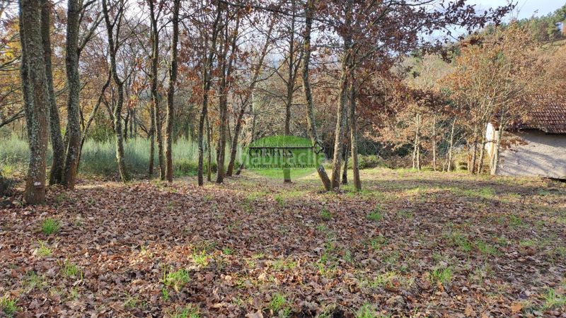 Foto 010c8cb9-f8ef-4e8e-8983-c0bc8daf563d. Casa a Merca (A)