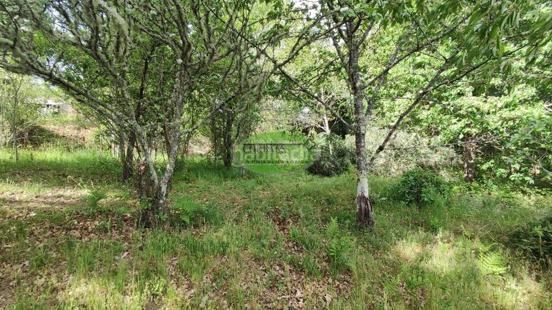 Foto 5a2da1af-5142-46f3-b129-1c55bd18040c. Chalet en Cortegada