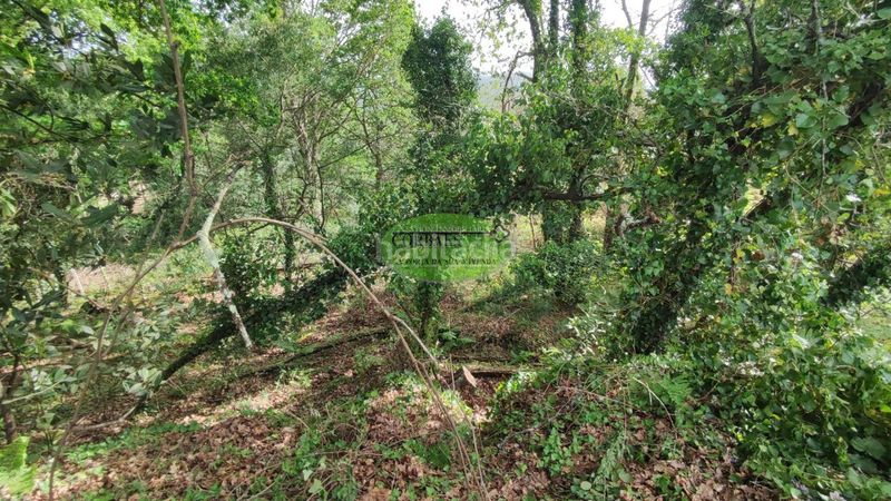 Foto 63771341-5b45-4e6a-b099-91c91d0f8efb. Xalet amb calefacció aparcament a Cortegada