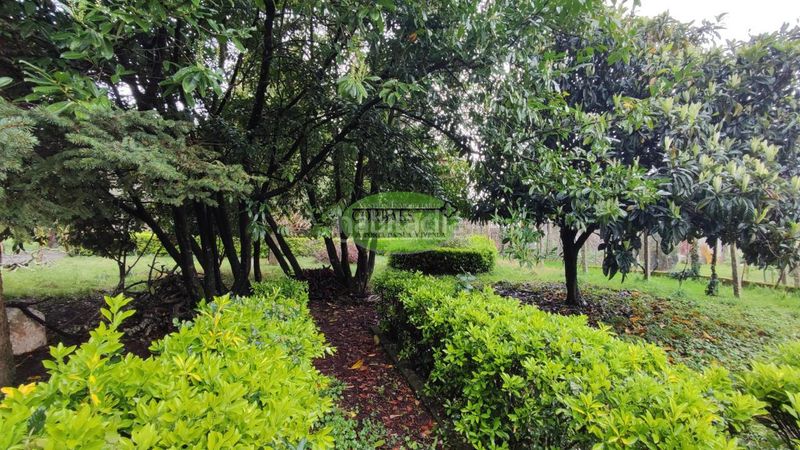 Foto 5a9f87bb-e6d9-4fa5-8195-ac8b6780aa13. Chalet en Vilamarín