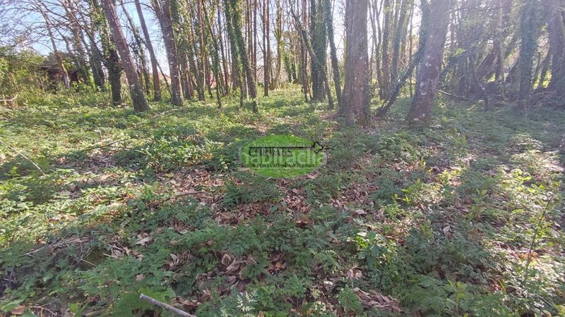 Foto 04772ec6-d10e-4d96-8224-6c6616d01729. Casa en Pantón