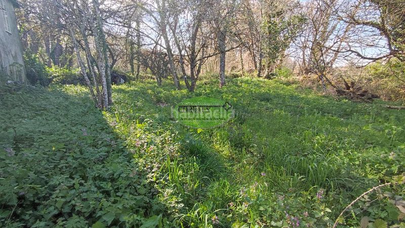 Foto 9e597e73-9e31-47dd-b949-76976cc0a550. Casa en Pantón