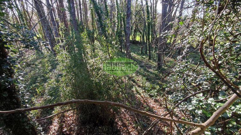 Foto aba3a160-b0af-4575-acf9-da8910d7f2fe. Casa en Pantón