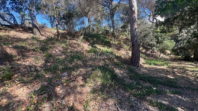Foto 52b4c5e9-c8ba-445f-8085-f99f4ad5ef95. Terreno residenziale in catalunya 60 in Vilanova del Vallès
