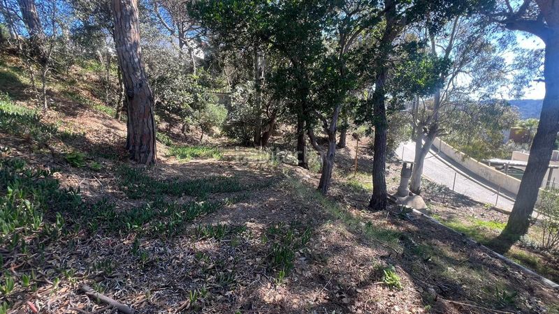 Foto 6e3ef41b-231a-43a8-90d6-388397243833. Terreno residenziale in catalunya 60 in Vilanova del Vallès