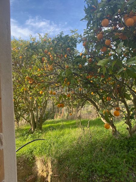 Foto 3793f112-e5c5-494b-a789-3a15dc85fd69. Terreny residencial a Vejer Vejer de la Frontera