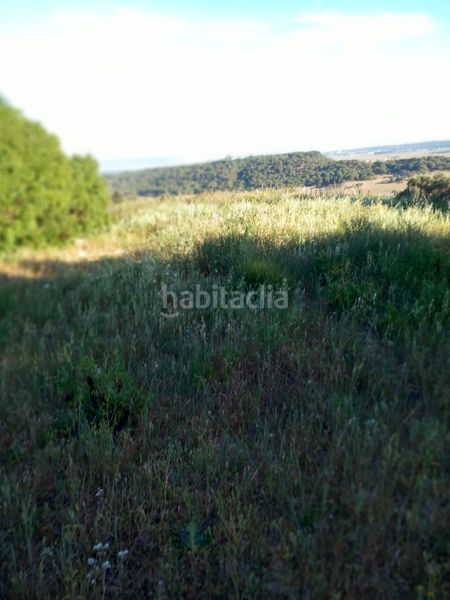 Foto 861764e6-f505-4cc4-835f-14e6e1d71722. Terreny residencial a Vejer Vejer de la Frontera