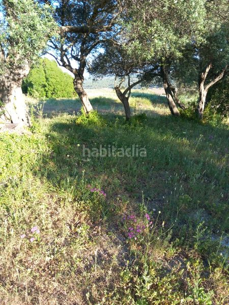 Foto c1bf91fb-0ad4-4fa0-96e2-334f1c316db3. Terreny residencial a Vejer Vejer de la Frontera