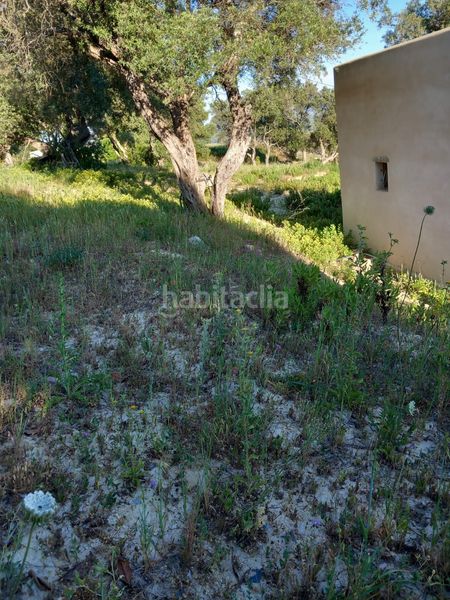 Foto e25ea84a-b489-4f66-af13-d432388efafd. Terreny residencial a Vejer Vejer de la Frontera