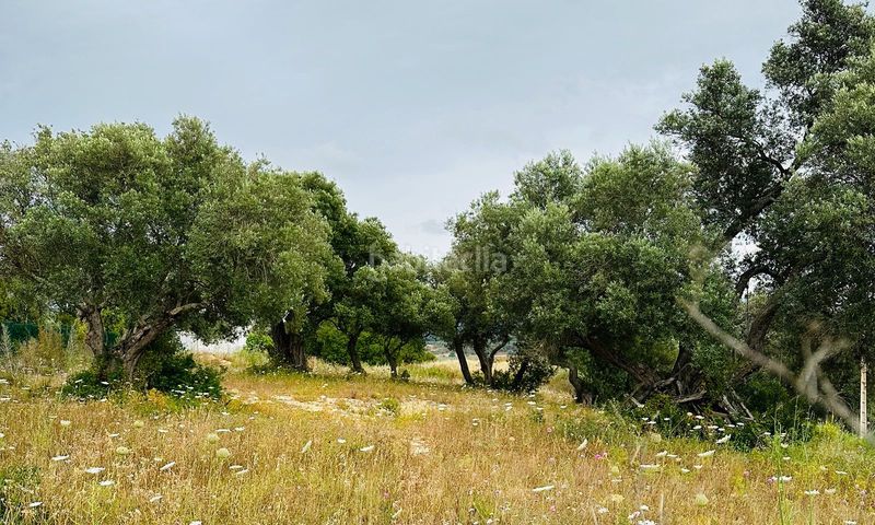 Foto ff12819d-e4ab-4c42-8ba5-963b0f8480e3. Terreny residencial a Vejer Vejer de la Frontera
