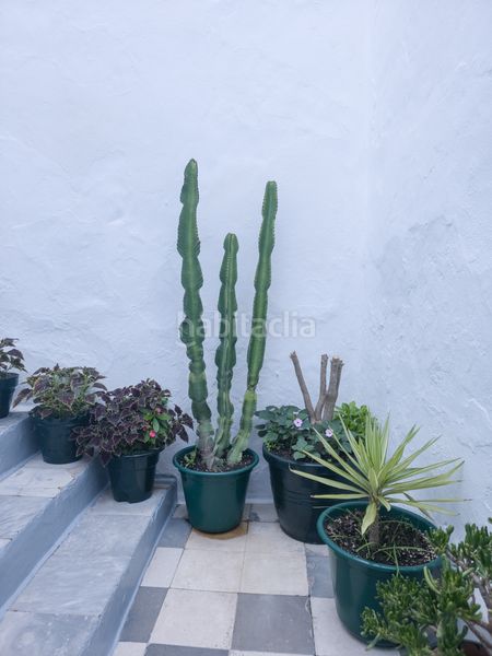 Foto e0939e3a-8c0a-4624-b7d4-bec19c7c88e1. Apartament a Vejer Vejer de la Frontera
