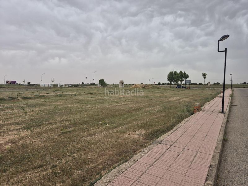 Foto 40aa9e3a-979b-42df-a9b9-ed87d6cade3f. Terreny residencial a Pedro Muñoz