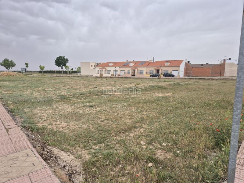 Foto 57f0dd88-5a39-46e1-b31c-ff8b135d7a4d. Terreny residencial a Pedro Muñoz