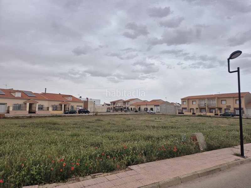 Foto 729fc682-e7e8-493c-a5bc-b02d521f657e. Terreny residencial a Pedro Muñoz