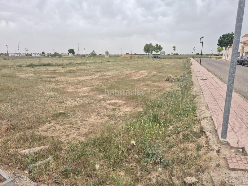 Foto 921c8ff6-d086-4f70-a325-4a4c84f6595b. Terreny residencial a Pedro Muñoz