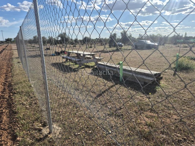 Foto 0903dccf-a09c-4696-9a76-c34bbf189211. Finca rústica a Pedro Muñoz