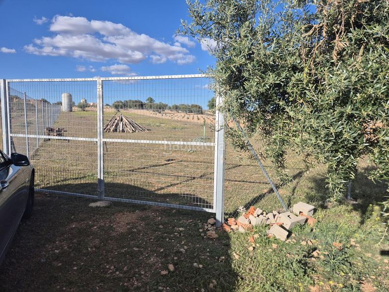 Foto 0b702aee-b4a6-4b26-887d-281280d973e7. Finca rústica a Pedro Muñoz