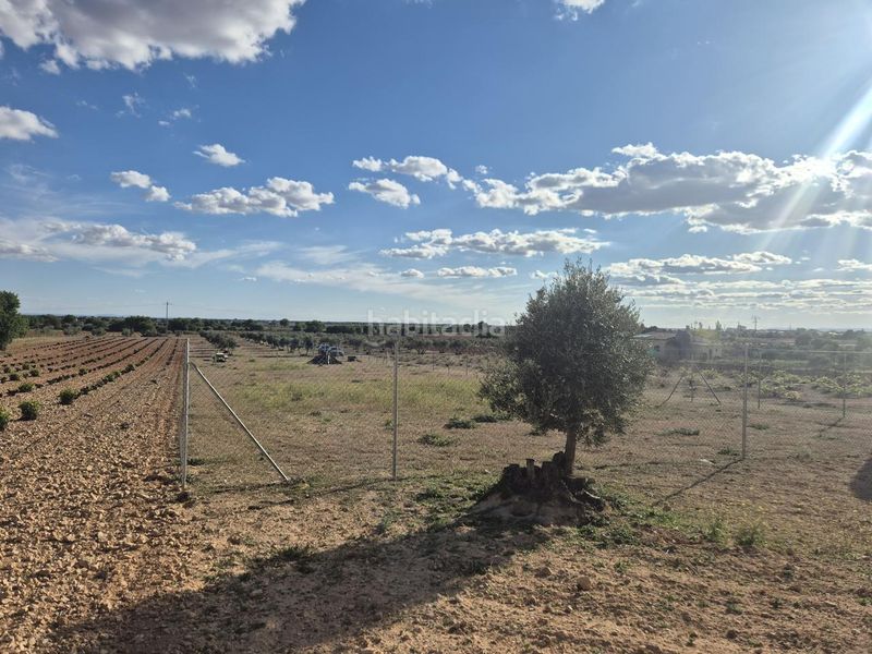 Foto 2a62fc6f-18ad-4aa9-b1c7-f75244e37934. Finca rústica a Pedro Muñoz