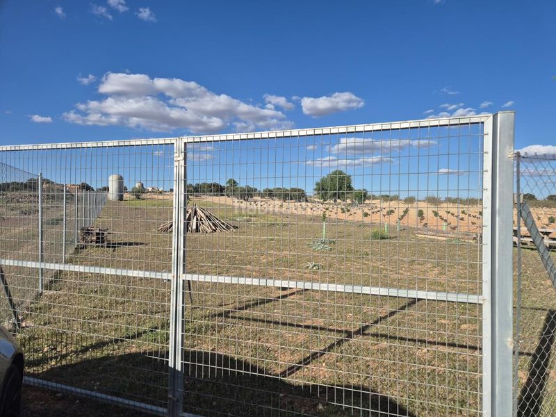 Foto 2d01988b-1928-4af8-b7b9-be2edae675d8. Finca rústica a Pedro Muñoz