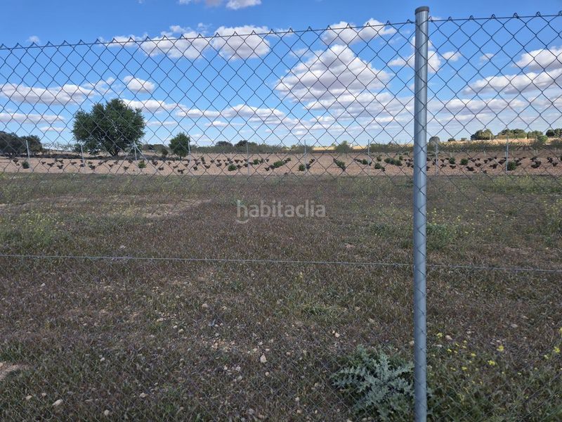 Foto 428dcca6-ee57-48ac-ba47-7e9011be3d09. Finca rústica a Pedro Muñoz