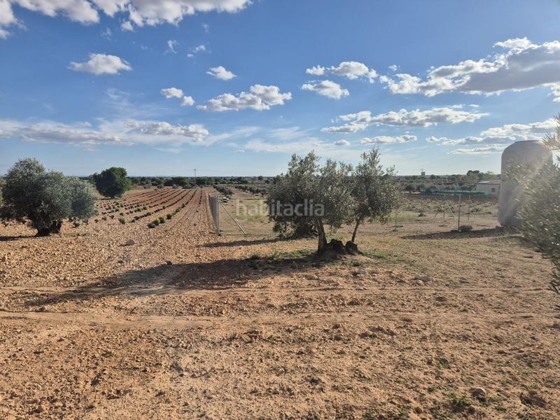 Foto 489ccfca-5e31-4bfb-abec-7a78c6158cc5. Finca rústica a Pedro Muñoz