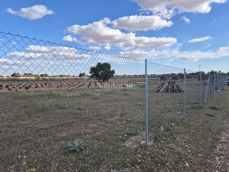 Foto 4a417d42-a5e5-4f36-9edd-d1011136b9da. Finca rústica a Pedro Muñoz