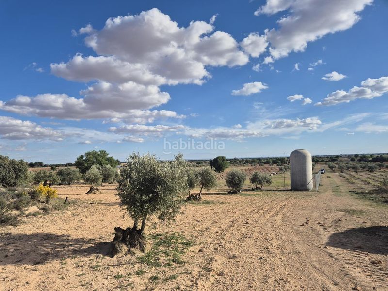 Foto 661a1b28-6c35-43db-be6f-0a6bc42ef845. Finca rústica a Pedro Muñoz