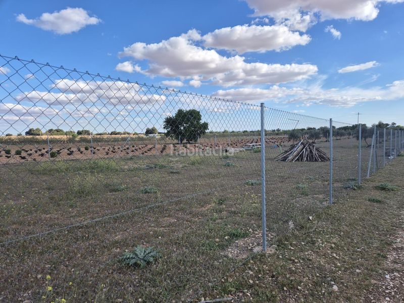 Foto 77b60a13-852e-4ea8-95fa-81e3dcf0f518. Finca rústica a Pedro Muñoz