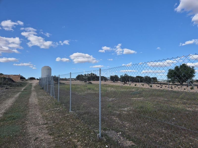Foto 85e39eec-2d5f-4113-b306-38f561722b7d. Finca rústica a Pedro Muñoz