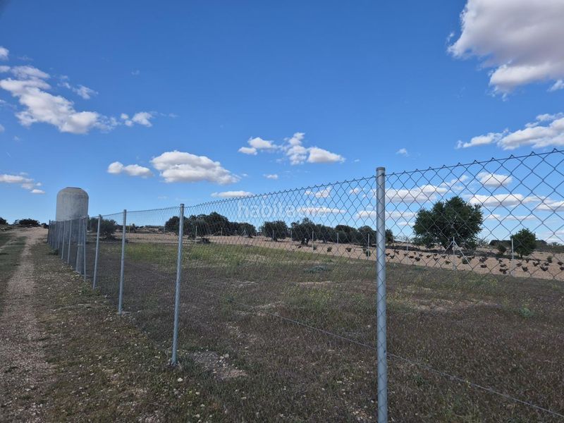 Foto 900dc19d-c817-4da0-96d2-226c575f0dae. Finca rústica a Pedro Muñoz