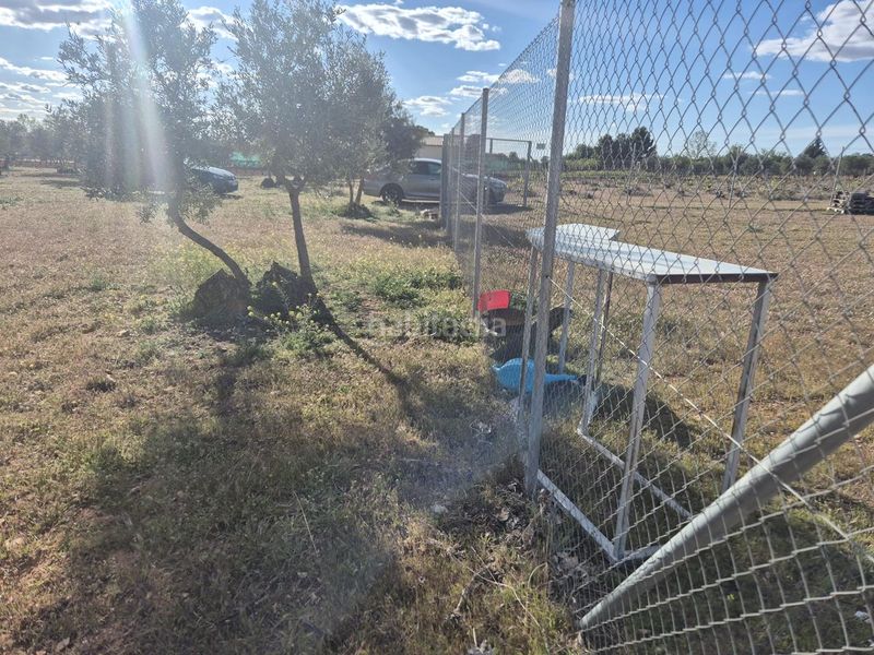 Foto ac144795-bd2f-4825-9933-a7268db2cef4. Finca rústica a Pedro Muñoz