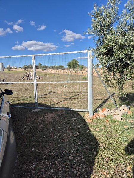 Foto de07b9d9-e4da-4947-9602-4bf66641a7d0. Finca rústica a Pedro Muñoz