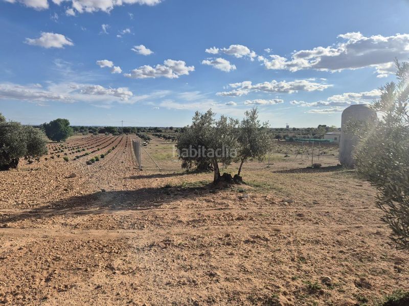Foto e70f7621-2095-472d-b2e3-237adc381aa9. Finca rústica a Pedro Muñoz