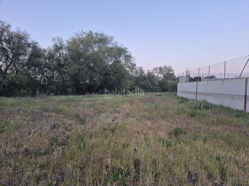 Foto 02b65788-7f9a-433d-ac96-318fef175162. Terreny residencial a Pedro Muñoz