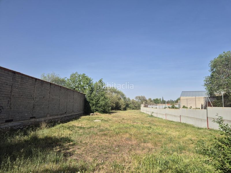 Foto 0a9d3097-abb6-475c-a96a-9155b55369ca. Terreny residencial a Pedro Muñoz