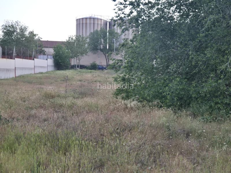 Foto 7491973d-772c-4381-b1a0-5696ed0f08f0. Terreny residencial a Pedro Muñoz