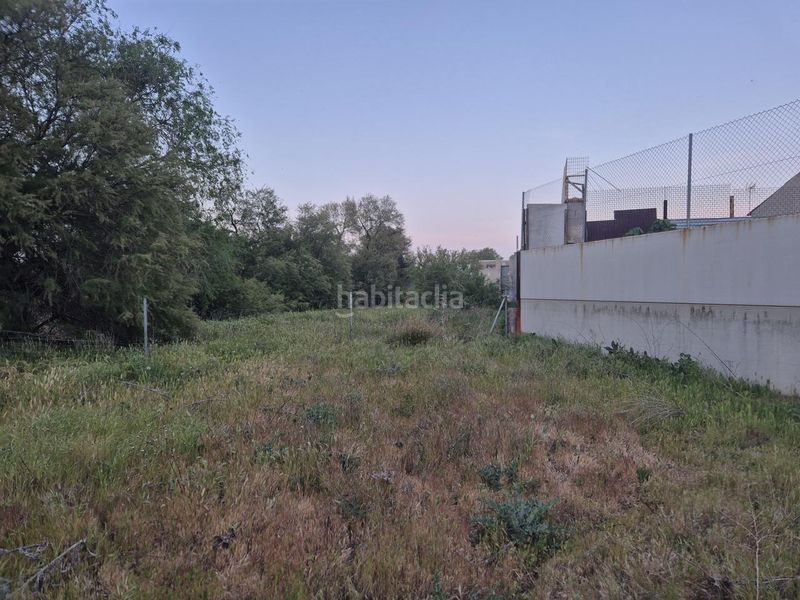 Foto 8628e7bf-2a43-4bed-bb4b-4c9e10637927. Terreny residencial a Pedro Muñoz