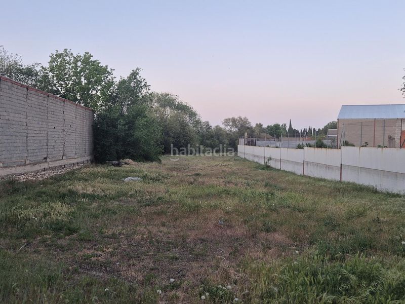 Foto e938bfa3-d6e8-4fa7-8222-30d312af035d. Terreny residencial a Pedro Muñoz