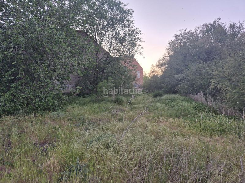 Foto f59a231b-6816-4cf3-bf68-7bc2205bbfd1. Terreny residencial a Pedro Muñoz