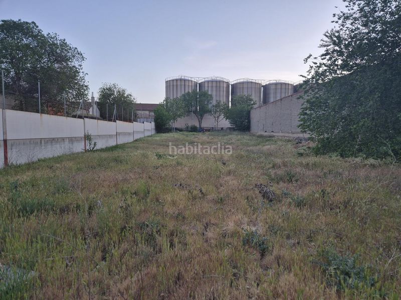 Foto fa69c0d8-0ce9-44ca-88a3-df5185bf6417. Terreny residencial a Pedro Muñoz