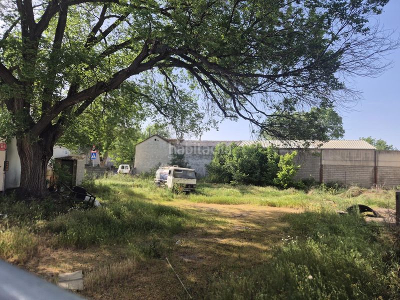 Foto 4249ab16-a283-446d-9755-c79c06dd829d. Terreny residencial a Pedro Muñoz