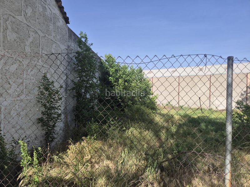Foto c673e56b-af3b-4398-8dc1-dd5f0e67425c. Terreny residencial a Pedro Muñoz