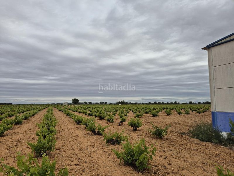 Foto 001ce82d-f254-4fc4-8a44-4b70439a28e9. Finca rústica a Socuéllamos