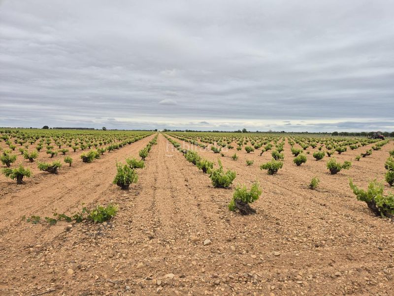 Foto 0b7892fc-1490-4fb9-a109-0d1837ac5109. Finca rústica a Socuéllamos