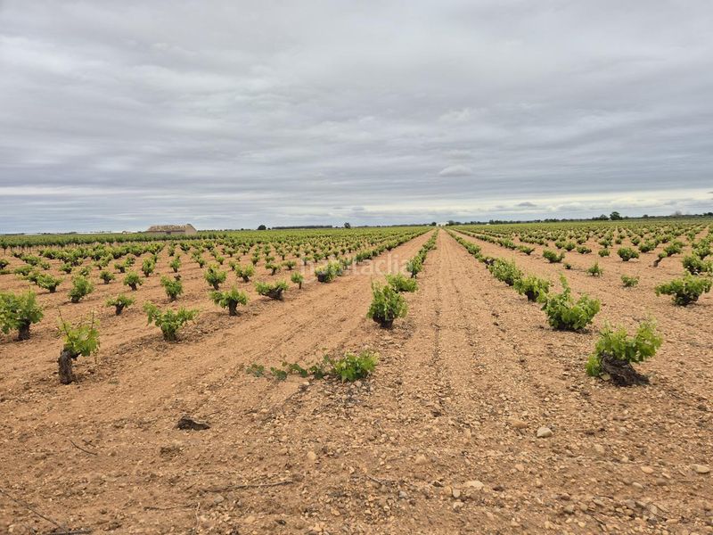 Foto 563f2015-3677-4501-ab2d-0e333d5b6e09. Finca rústica a Socuéllamos